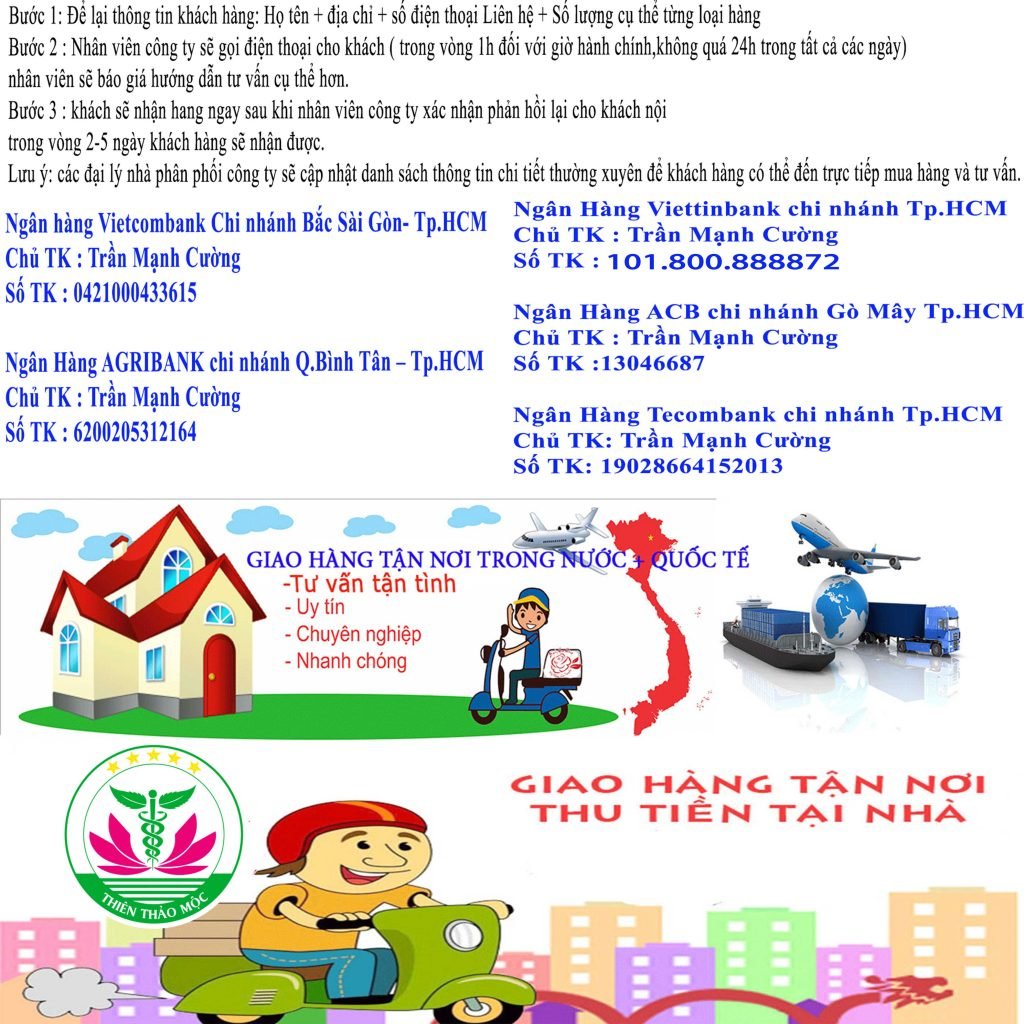 Bach Hong Don 90